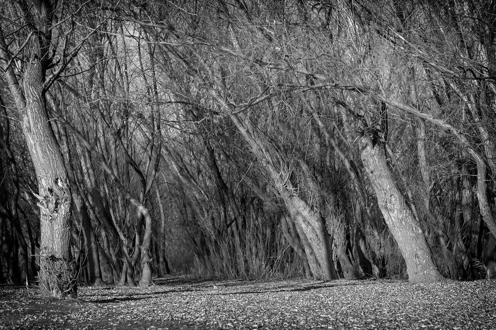 Разочарование