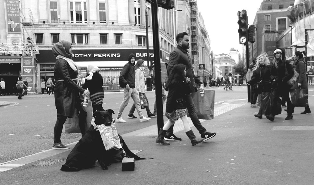 The newspapers seller on the London's streets
