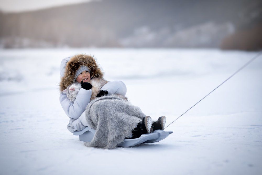 Зимняя забава