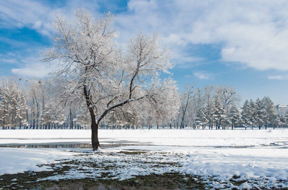Снежный парк...