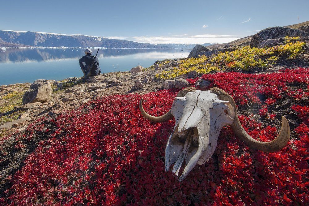 гренландия