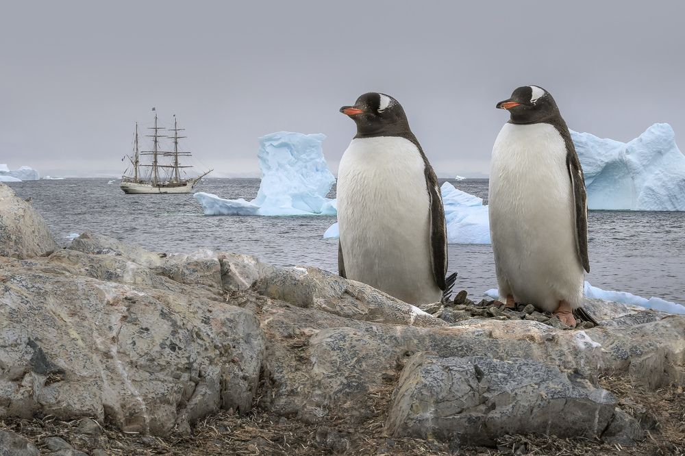 Встреча двух миров