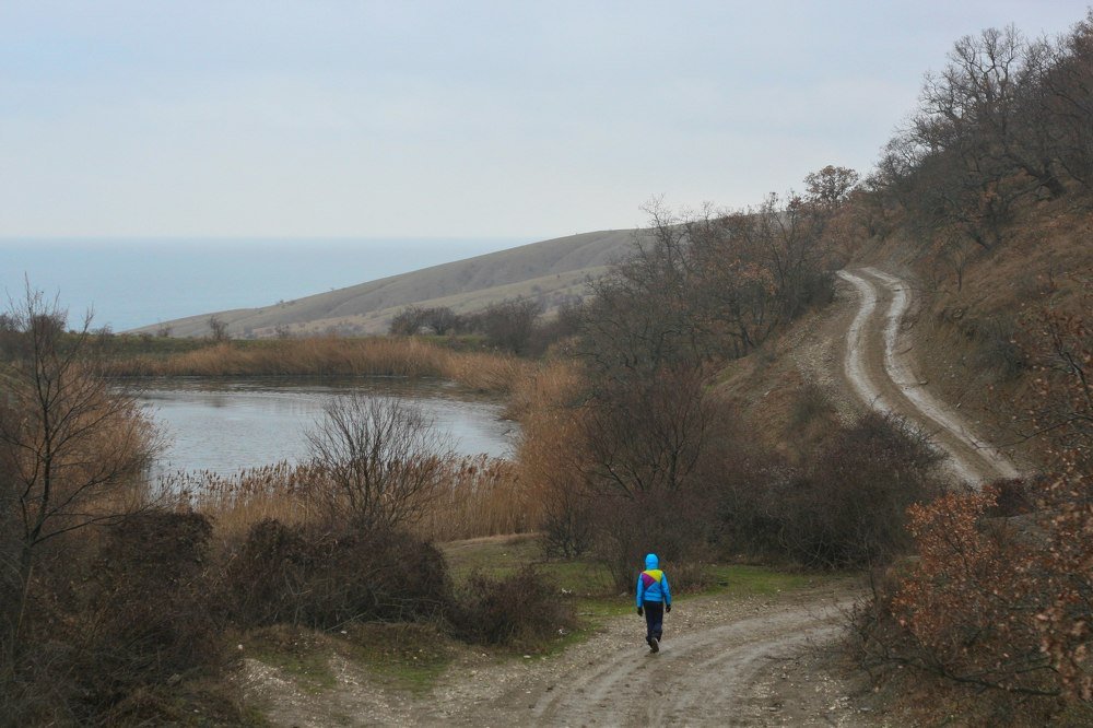 Дорога к морю