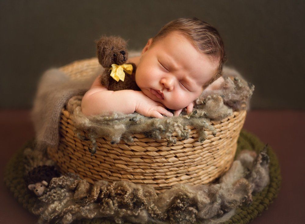 Лесные друзья