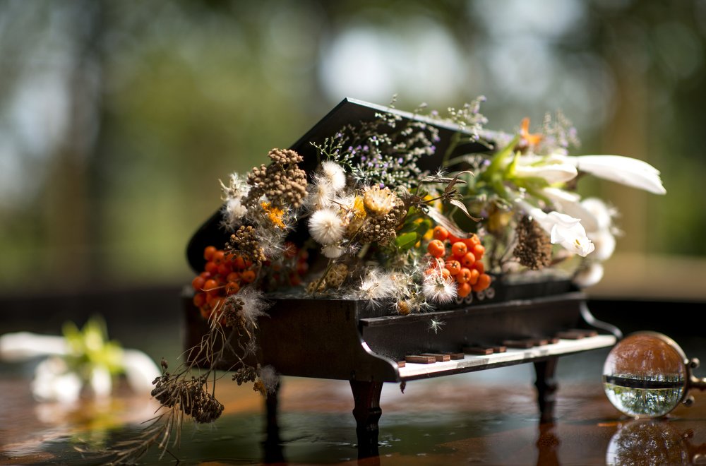 Звуки музыки. Солнечная мелодия.