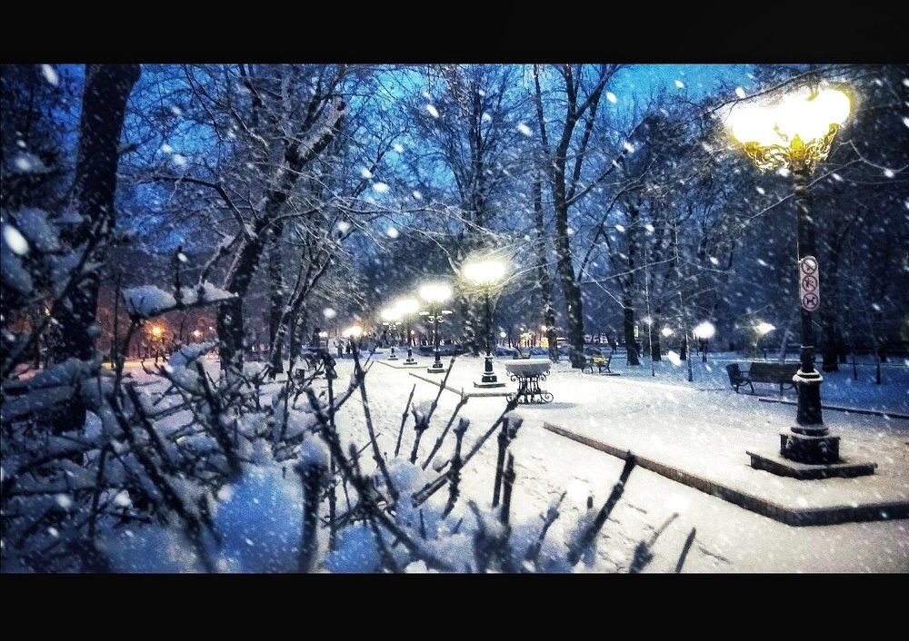 Photograph by Lazur_Na