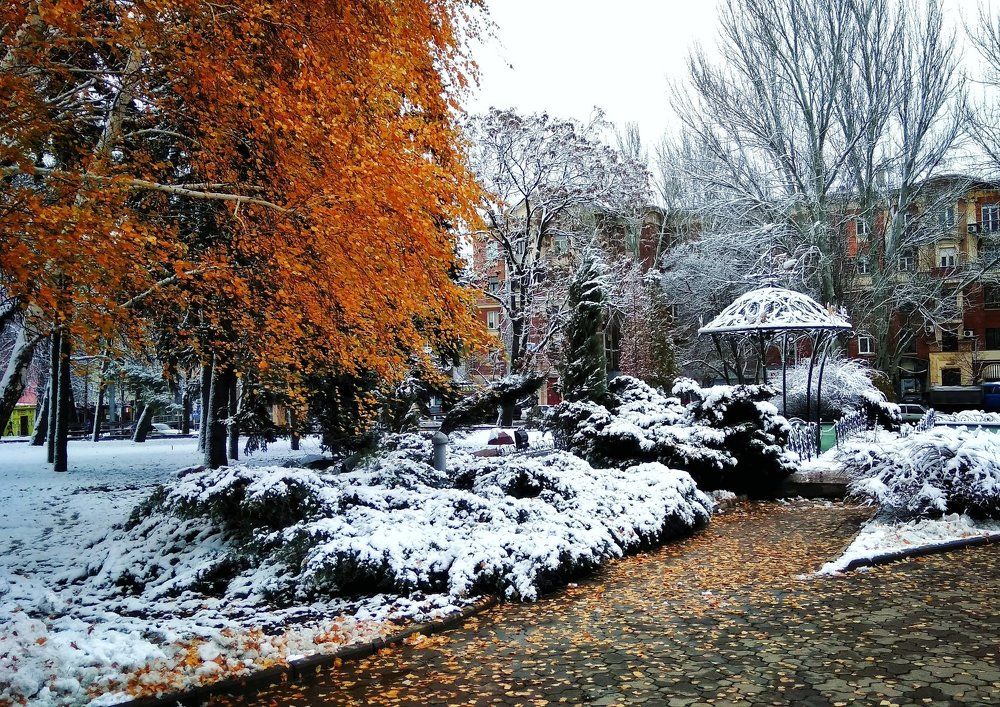 Photograph by Lazur_Na