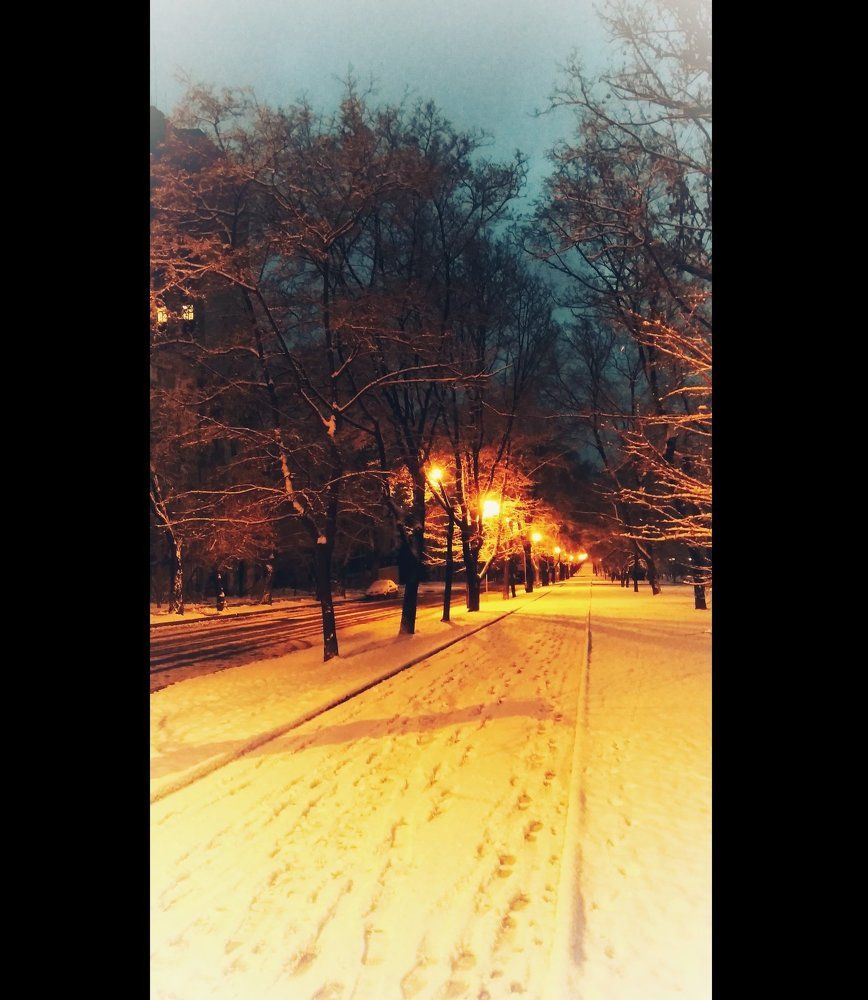 Photograph by Lazur_Na