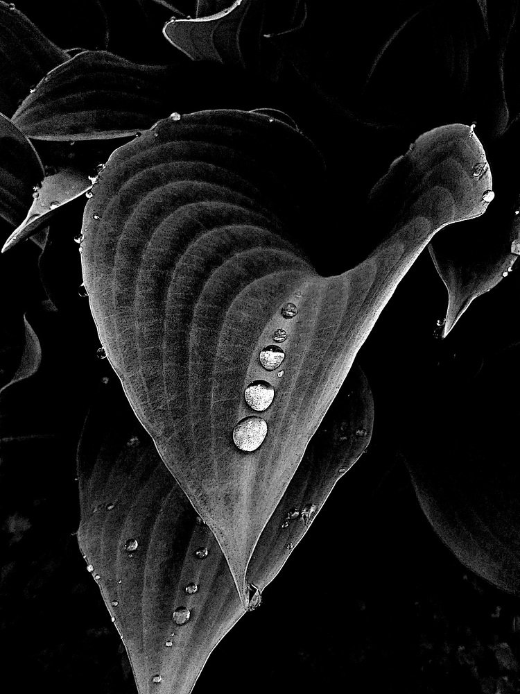 Фотография автора Владислава Андрюнина