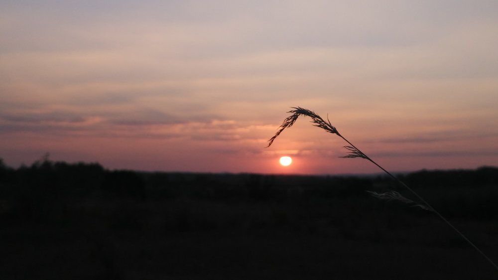 Photograph by Deepak