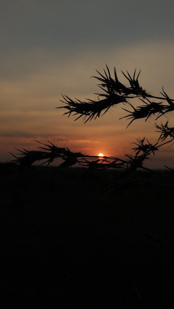 Photograph by Deepak