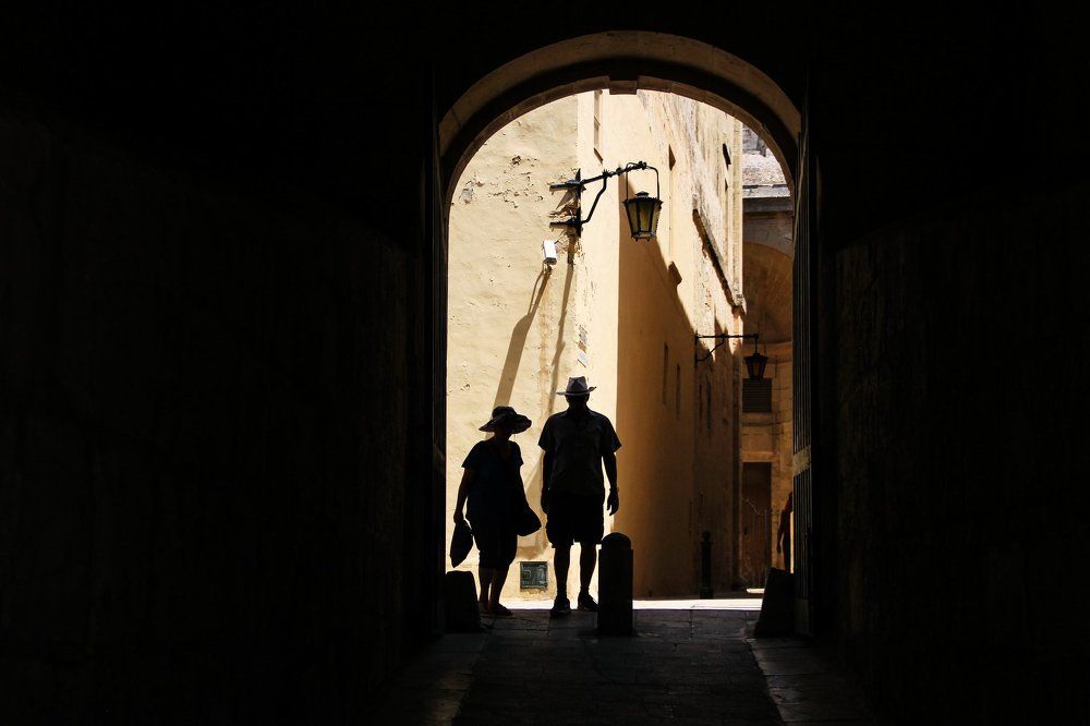 Путешественники