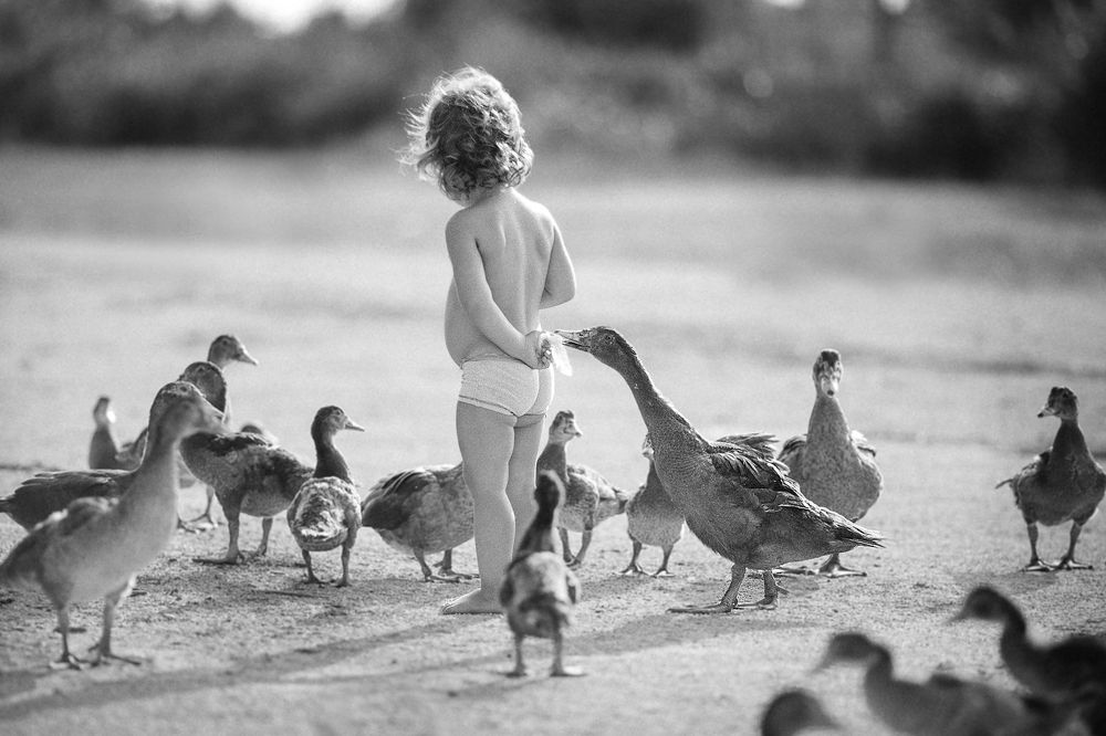 Photograph by Ирина Мерненко