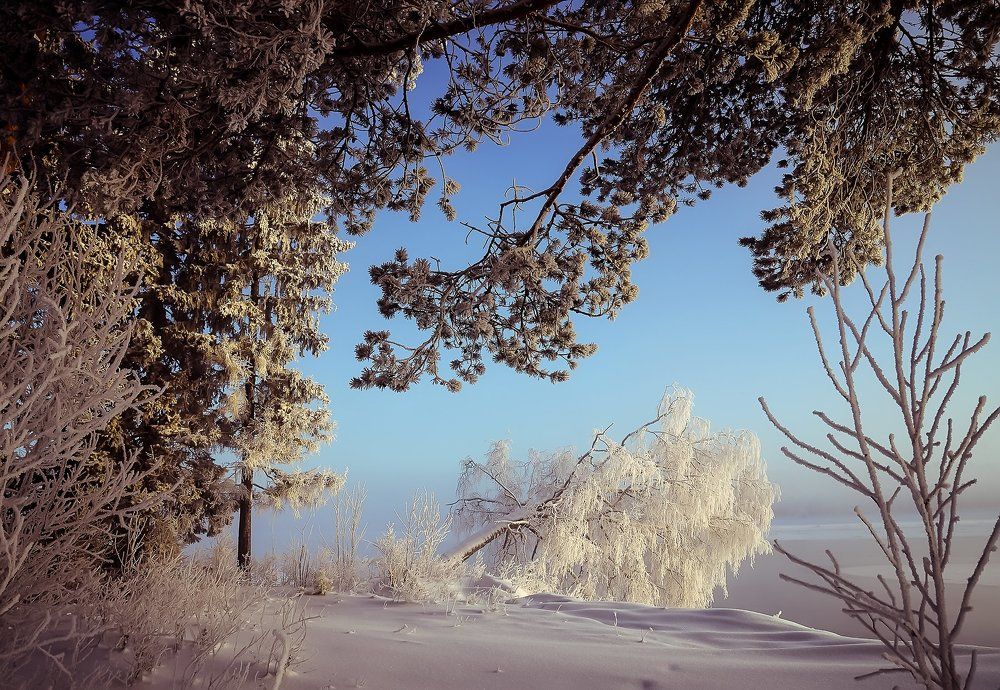 27 декабря.На берегу Вычегды