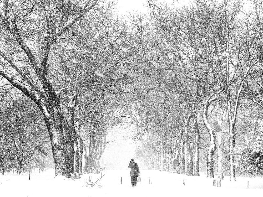 Белый плен...