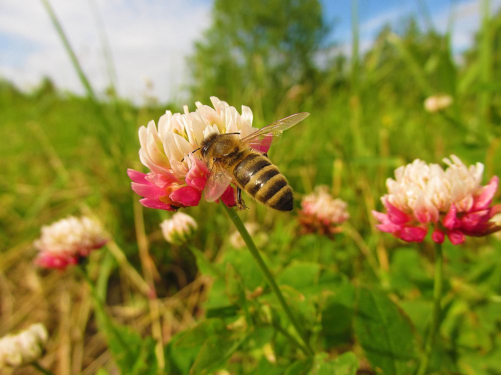 Photograph by Проскура Артём