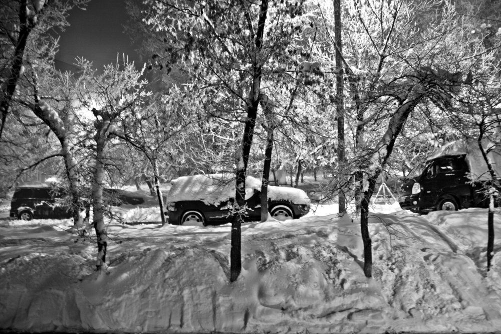 Снег. Тишина.