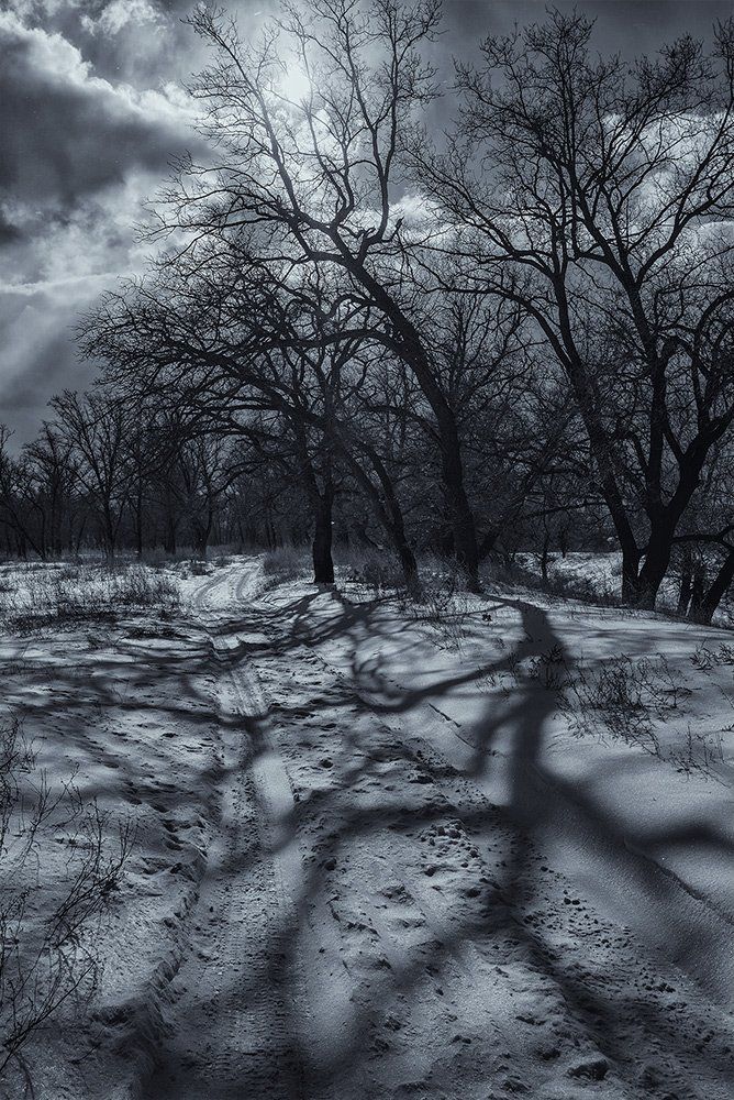 Фотография автора Игорь Баранов