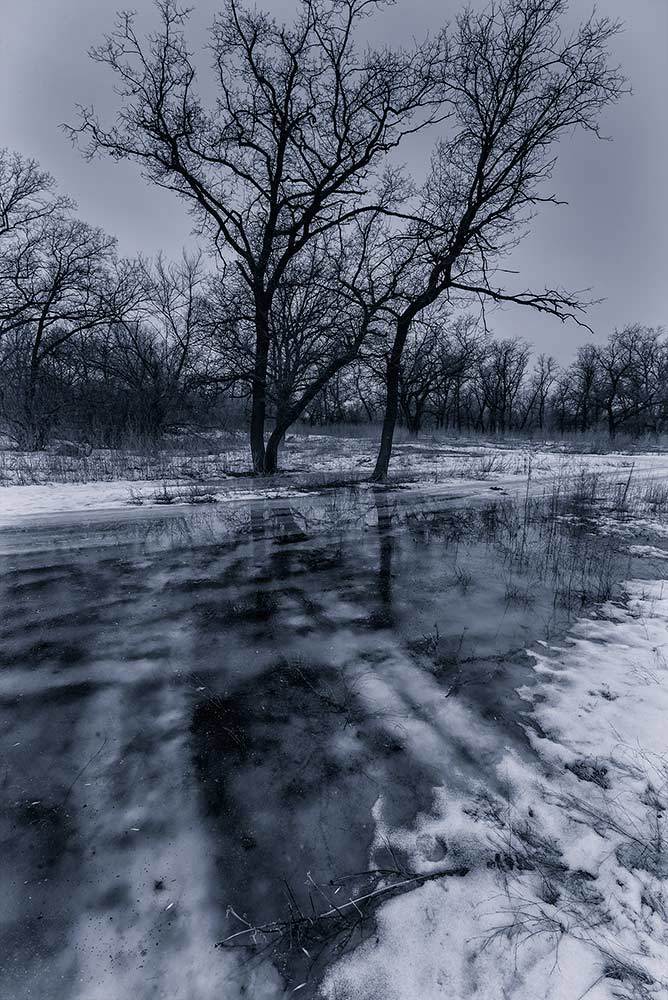 Фотография автора Игорь Баранов