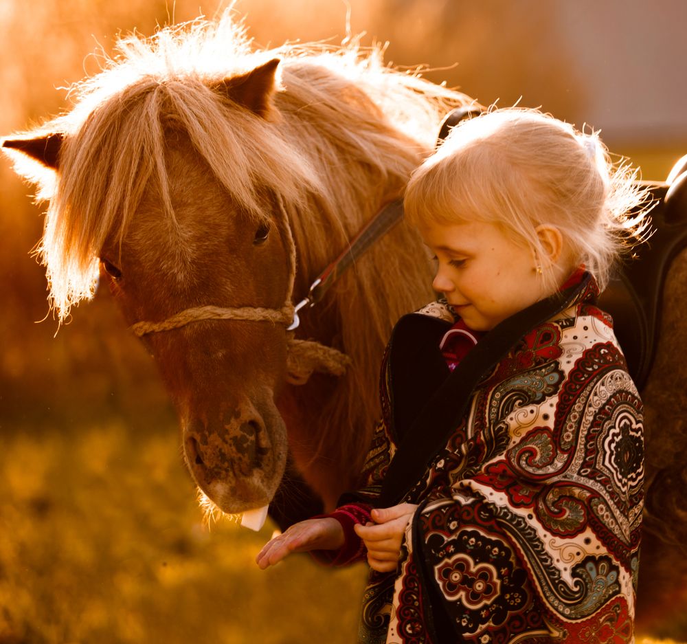 Ангел и пони