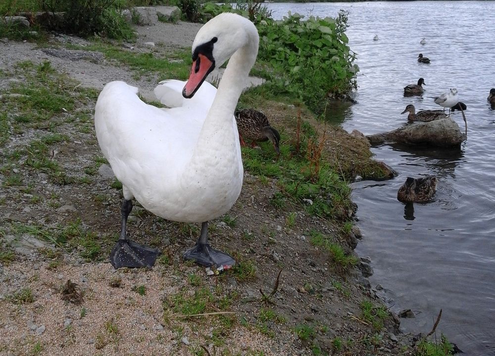 Портрет в интерьере:)