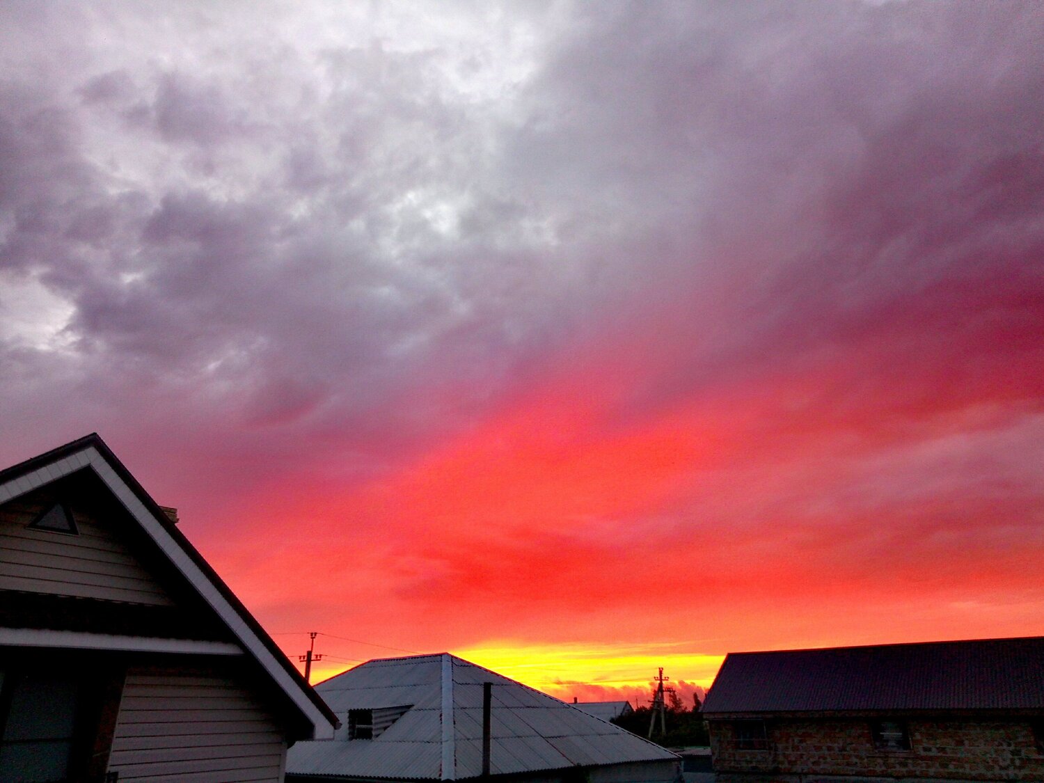 Photo #2118325