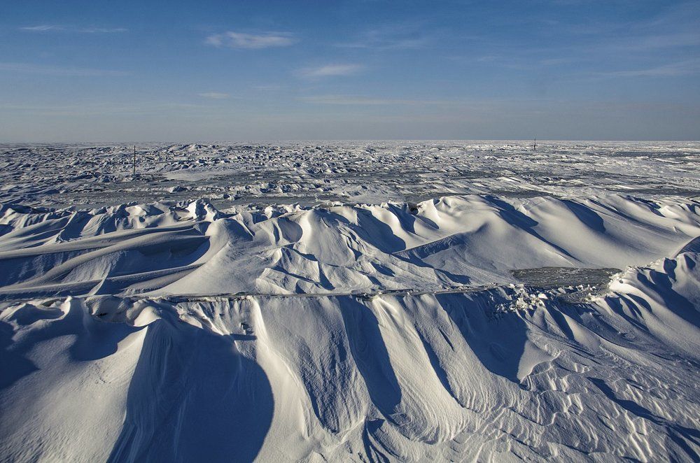 Ханкайское безмолвие