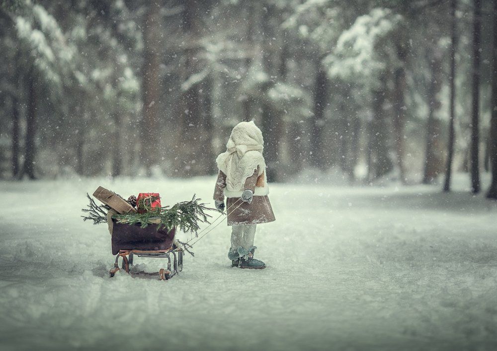 Новогодний подарок