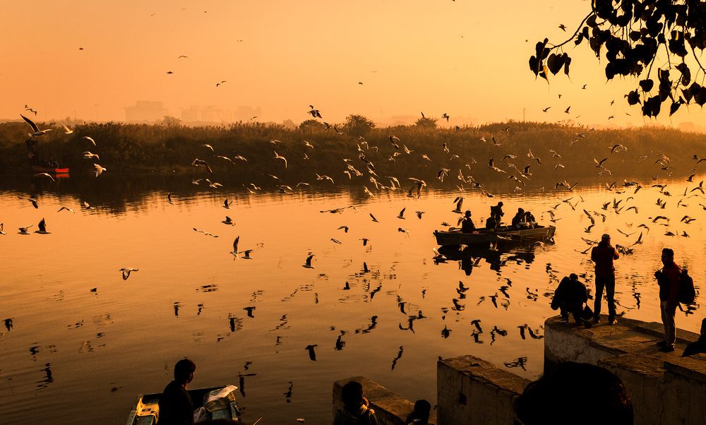 Morning at Yamuna Ghat