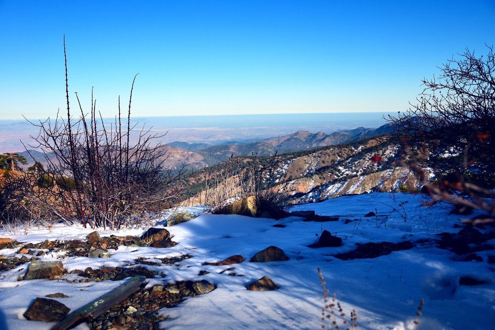 Photograph by Наталья