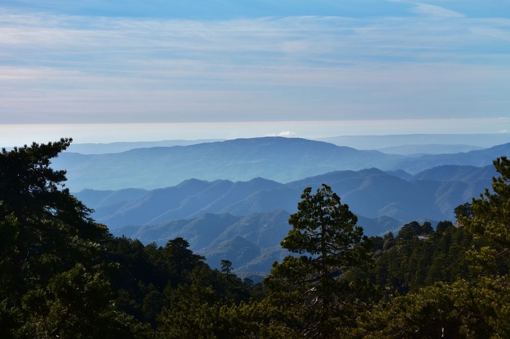 Photograph by Наталья