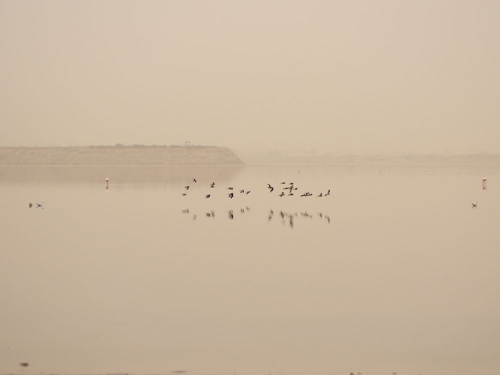 Соленое озеро в желтом тумане...