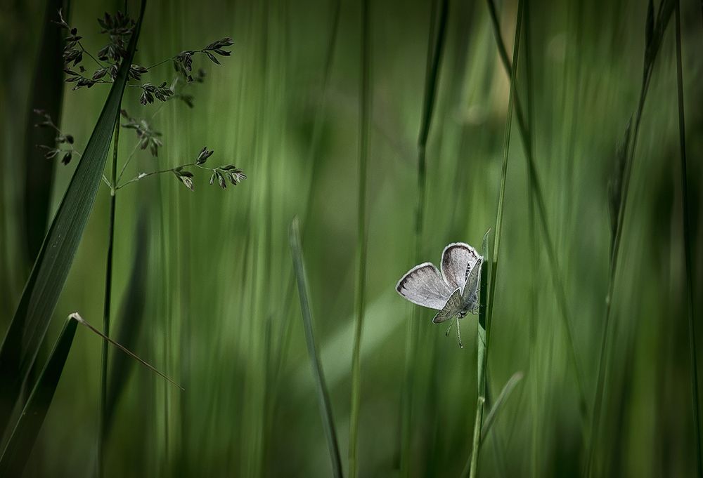 Одиночество