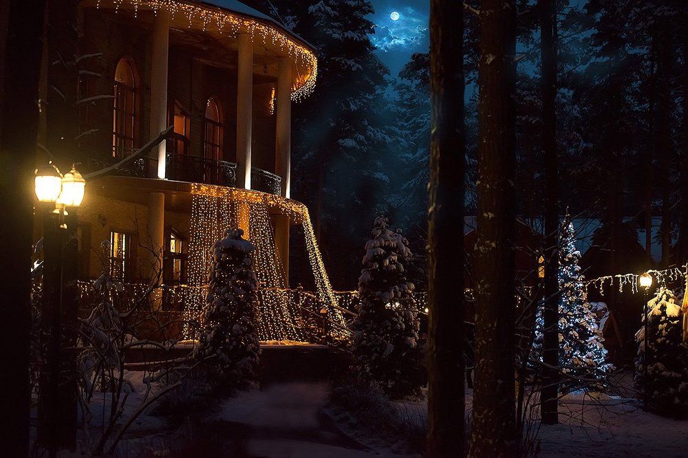 город в лесу