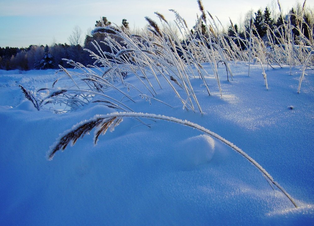 Морозное утро