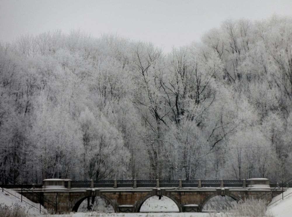 Photograph by Ирина Корнева