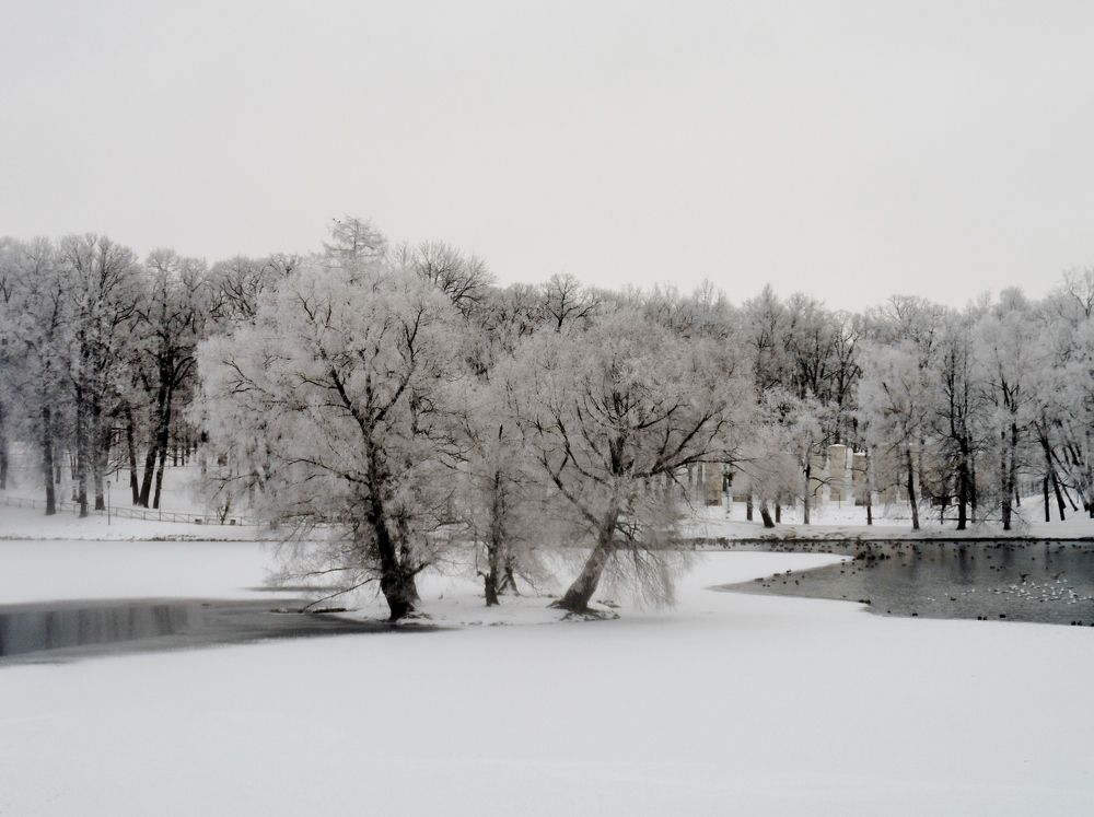 Photograph by Ирина Корнева