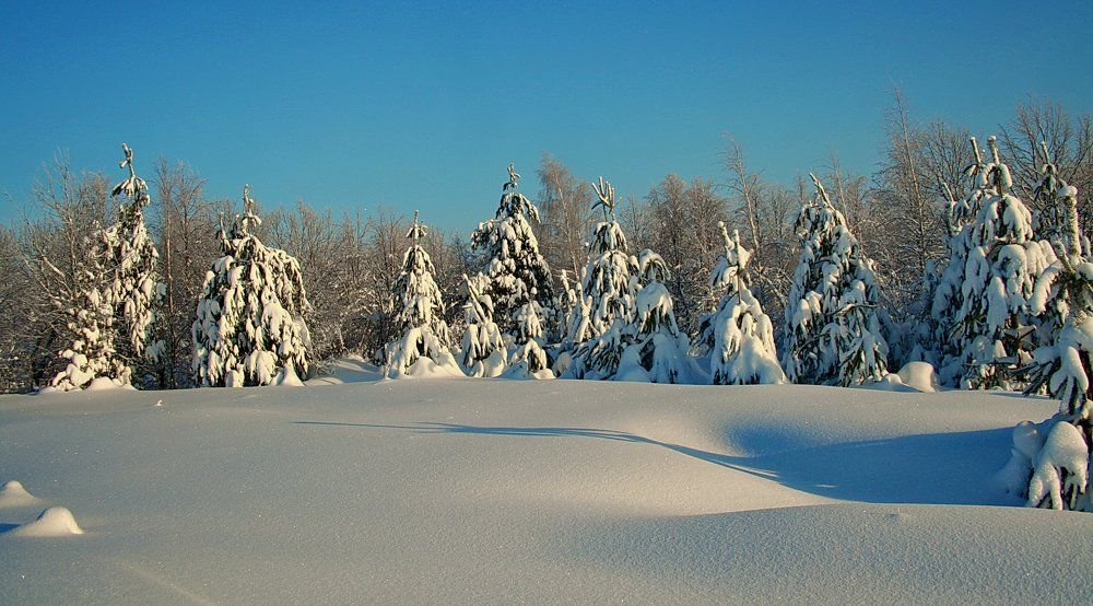 Погожий день