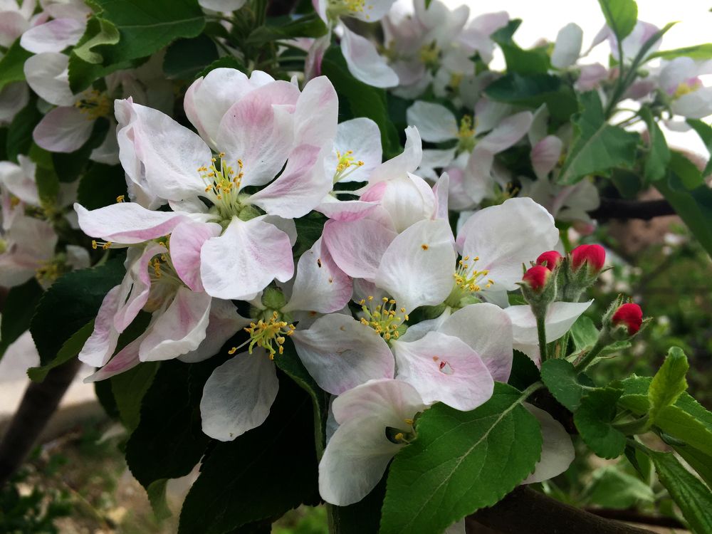 Beauty is not Perfection