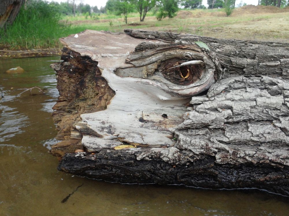 Photograph by Василий