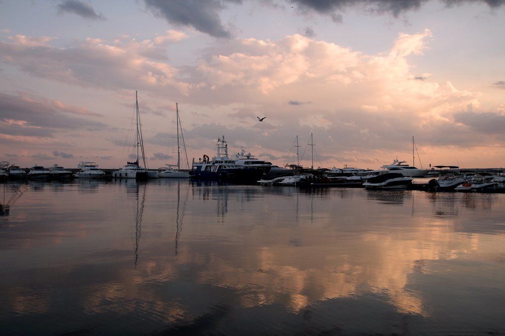 Между морем и небом....