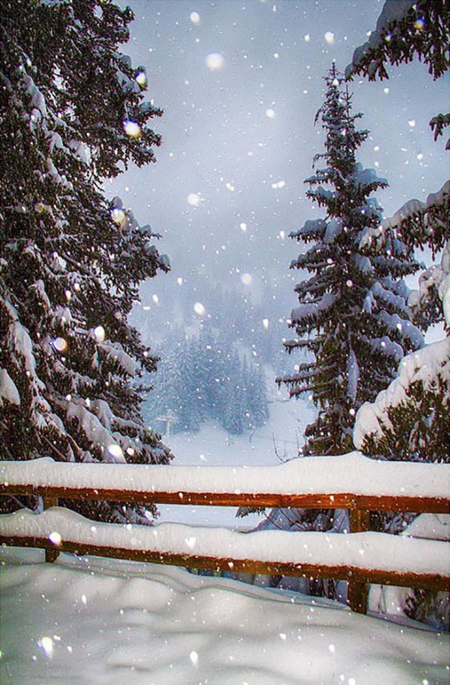 Снег в горах