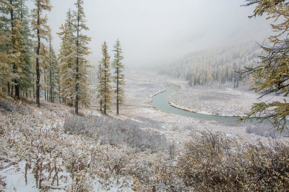 Шавлинский изгиб