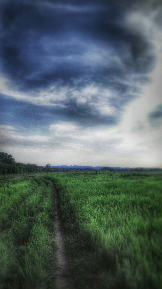 Photograph by Matvey