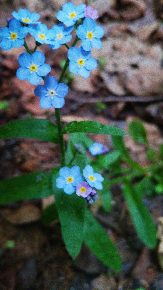 Photograph by Matvey