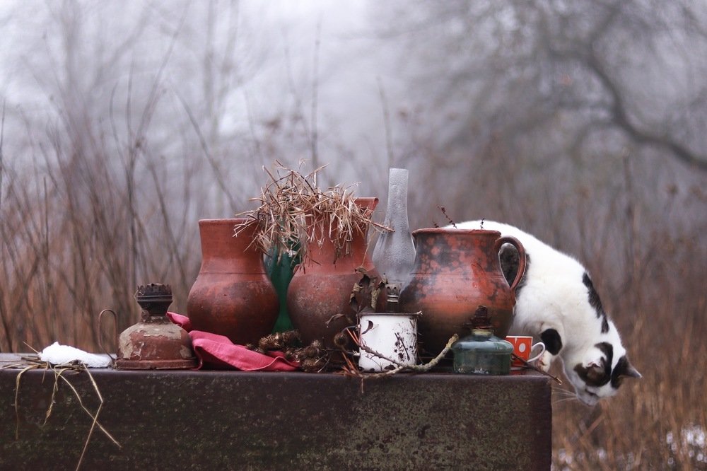 Вот такая зима!