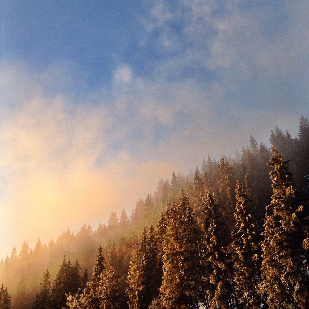 Утренняя Буковель