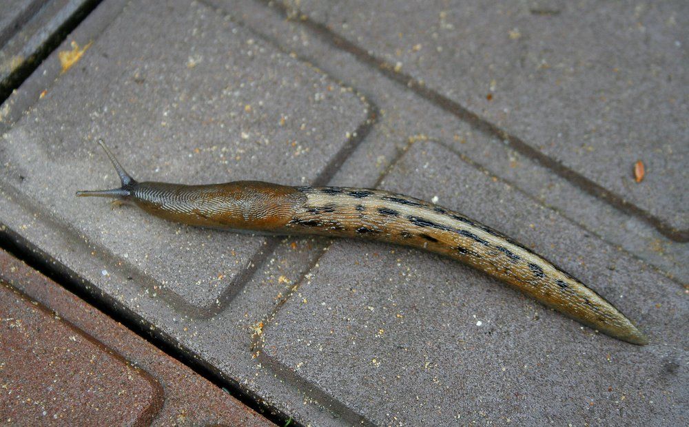 потерял ориентир