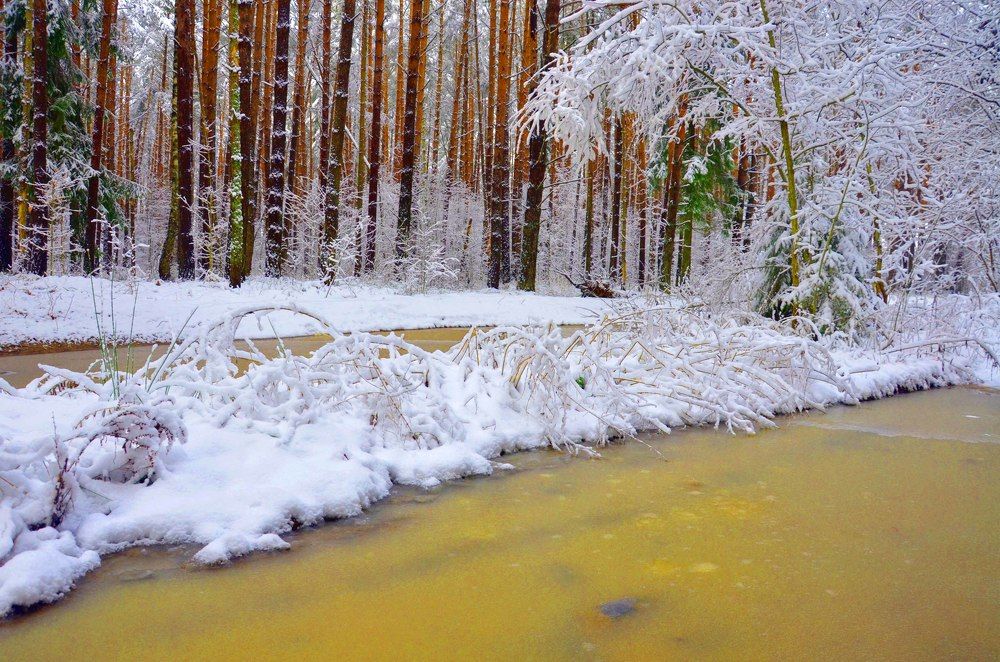 first snow