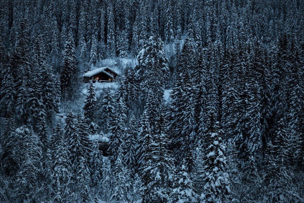 Winter cottage